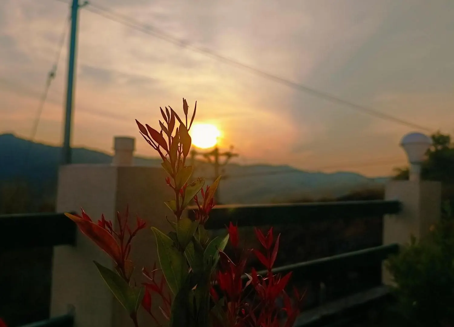 The Nest Villa Vagamon Holiday home